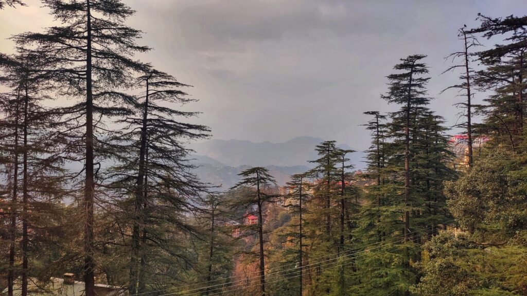 4 star hotels in shimla